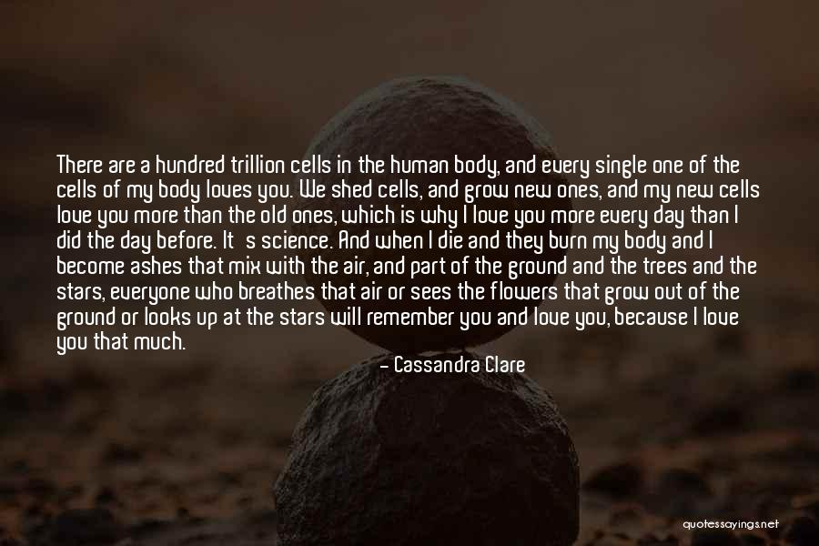 Out With The Old In With The New Quotes By Cassandra Clare Out With The Old In With The New Quotes By Cassandra Clare