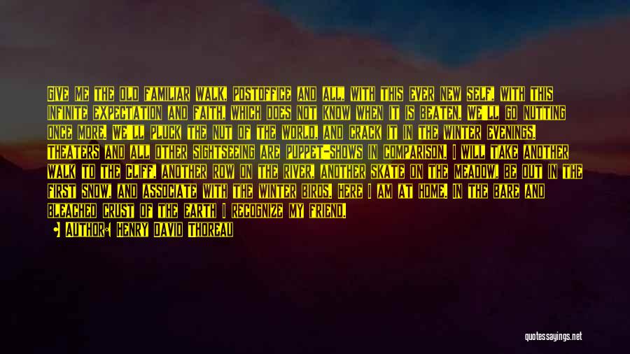 Out With The Old In With The New Quotes By Henry David Thoreau