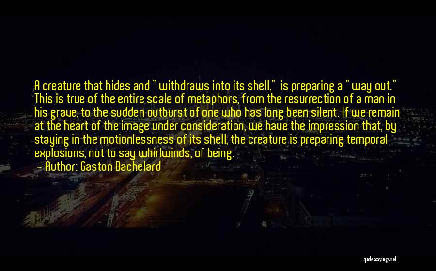 Outburst Quotes By Gaston Bachelard