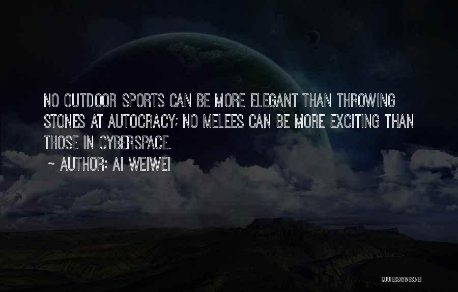 Outdoor Sports Quotes By Ai Weiwei