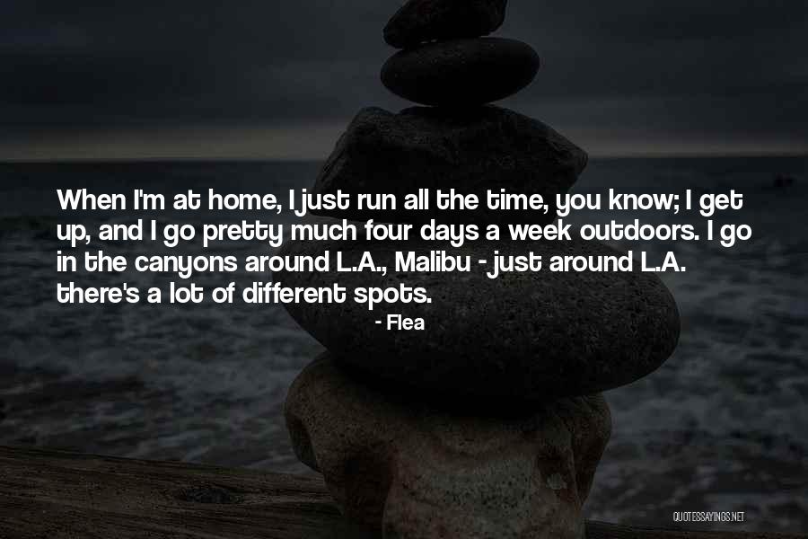 Outdoors Quotes By Flea