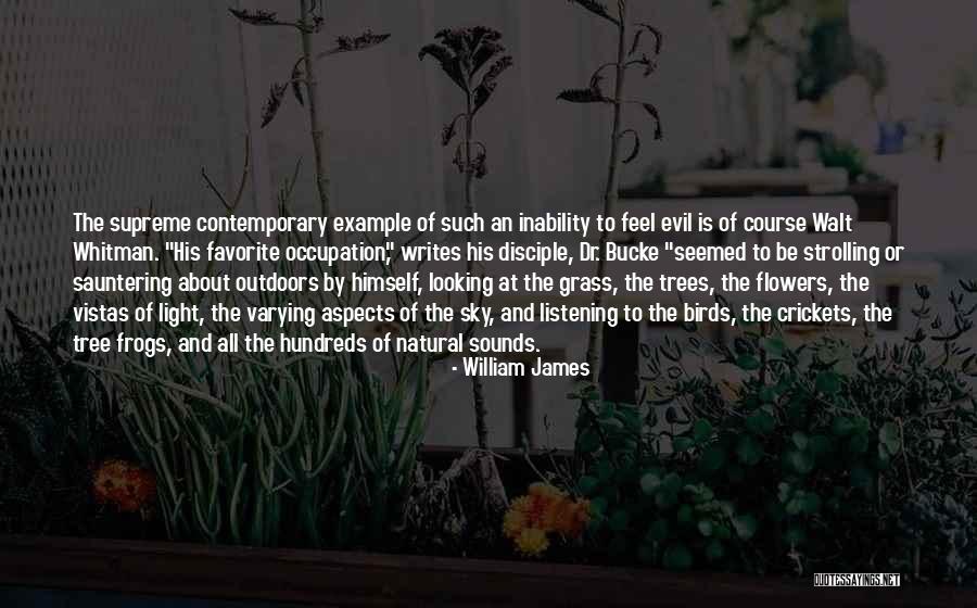 Outdoors Quotes By William James