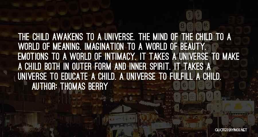 Outer And Inner Beauty Quotes By Thomas Berry