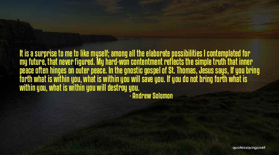 Outer Peace Quotes By Andrew Solomon Outer Peace Quotes By Andrew Solomon