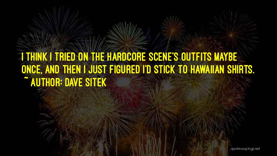 Outfits Quotes By Dave Sitek