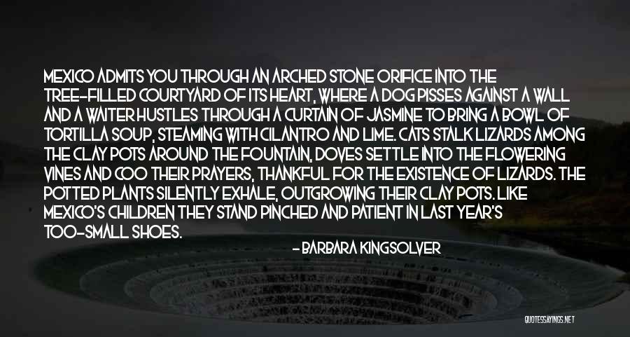 Outgrowing Quotes By Barbara Kingsolver Outgrowing Quotes By Barbara Kingsolver