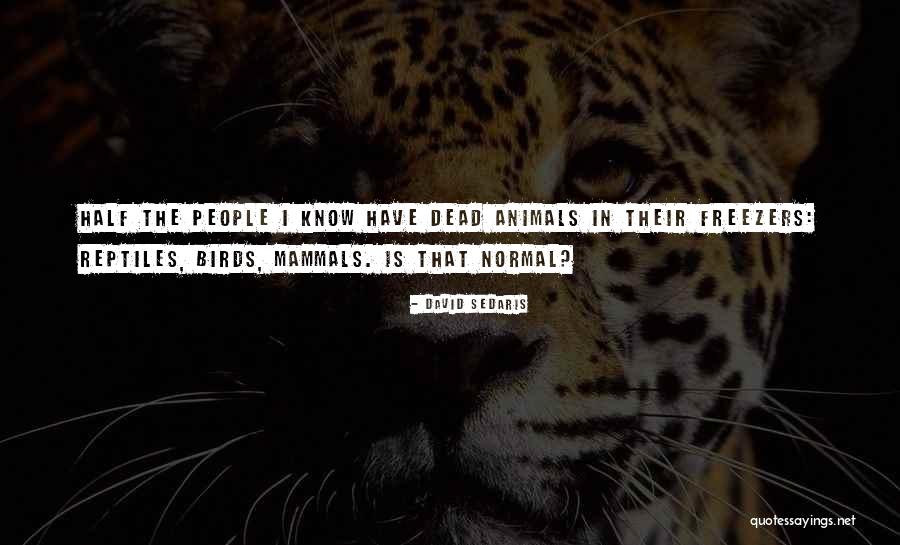 Outlanders Anime Quotes By David Sedaris Outlanders Anime Quotes By David Sedaris