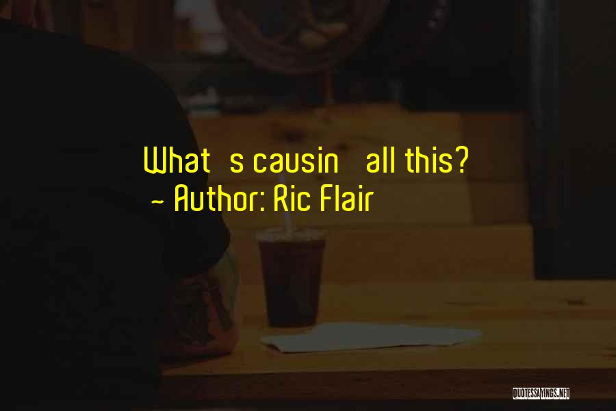 Outlaw Quotes By Ric Flair