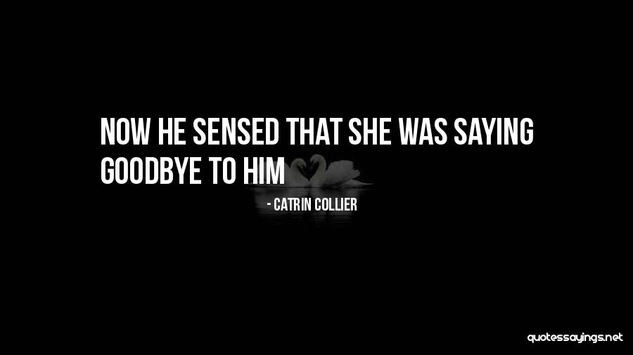 Outliner Software Quotes By Catrin Collier Outliner Software Quotes By Catrin Collier