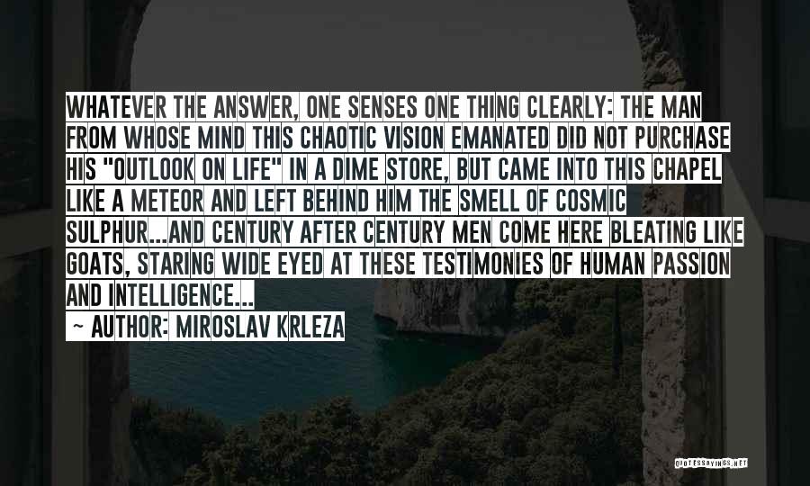 Outlook In Life Quotes By Miroslav Krleza