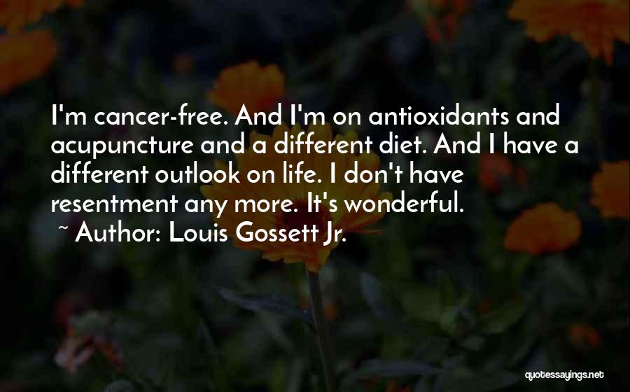 Outlook On Life Quotes By Louis Gossett Jr.