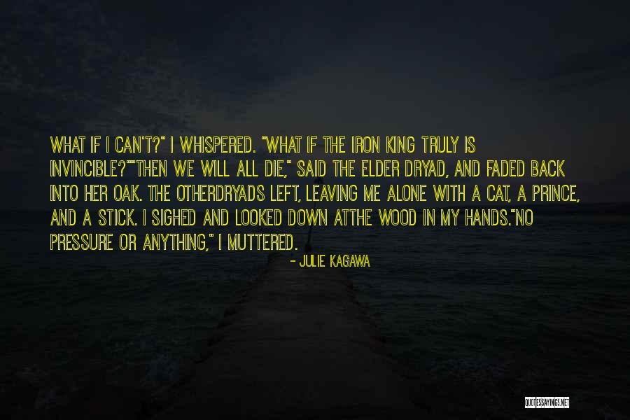 Outrora Baga Quotes By Julie Kagawa Outrora Baga Quotes By Julie Kagawa