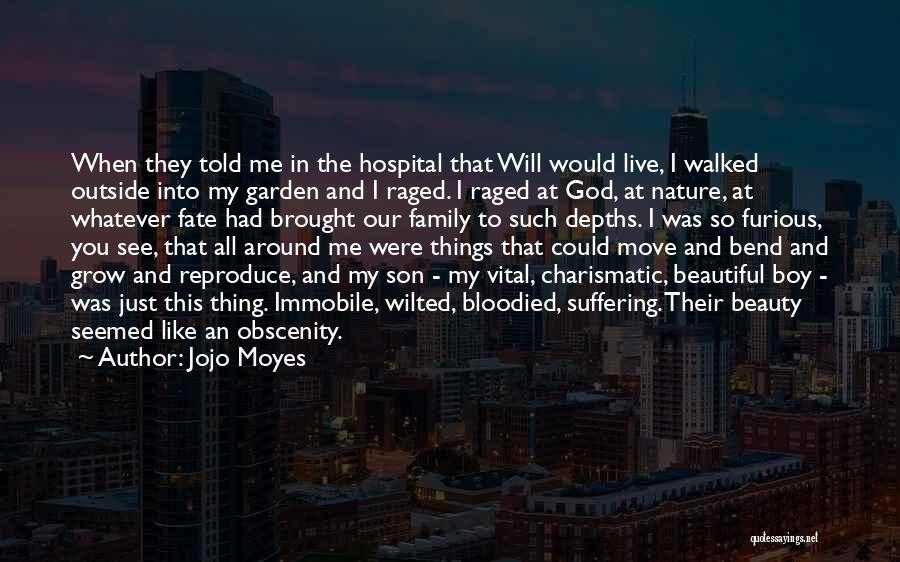 Outside Beauty Quotes By Jojo Moyes