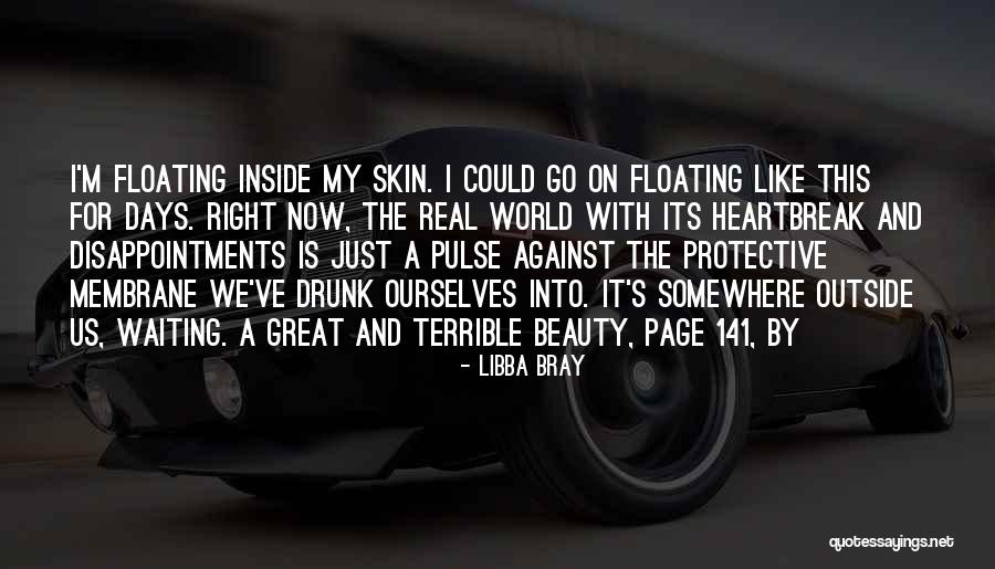 Outside Beauty Quotes By Libba Bray