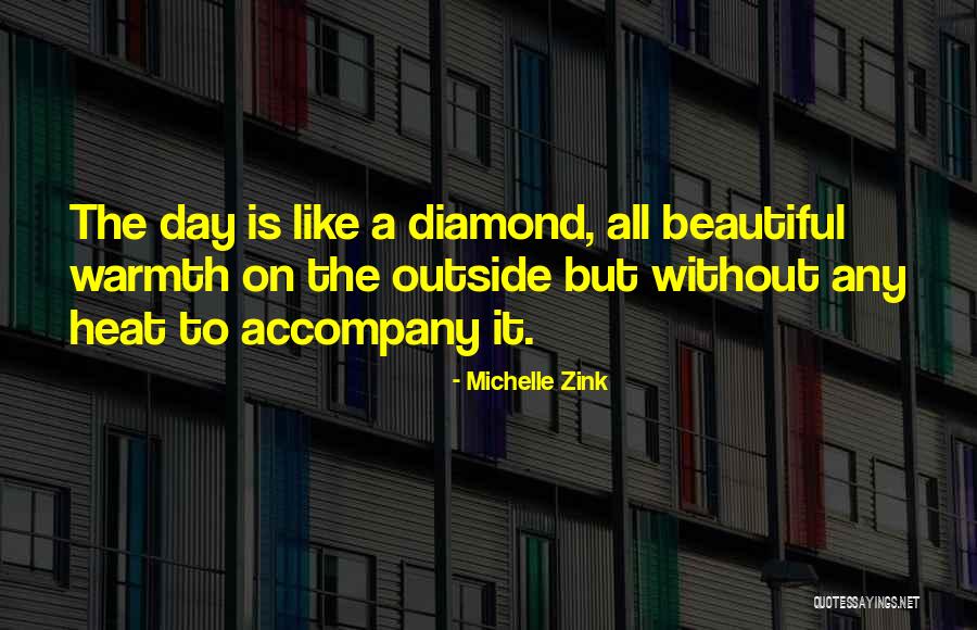 Outside Beauty Quotes By Michelle Zink