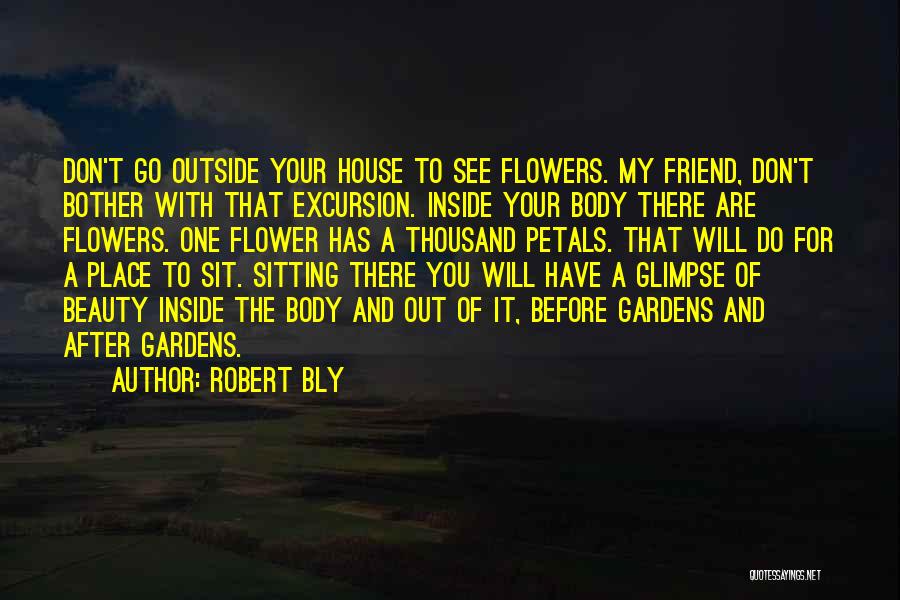 Outside Beauty Quotes By Robert Bly