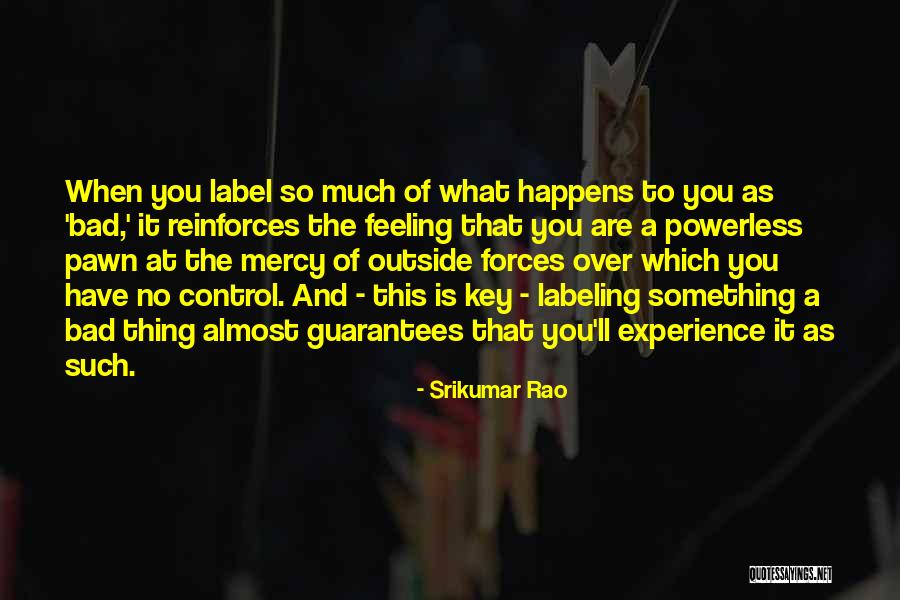 Outside Experience Quotes By Srikumar Rao Outside Experience Quotes By Srikumar Rao