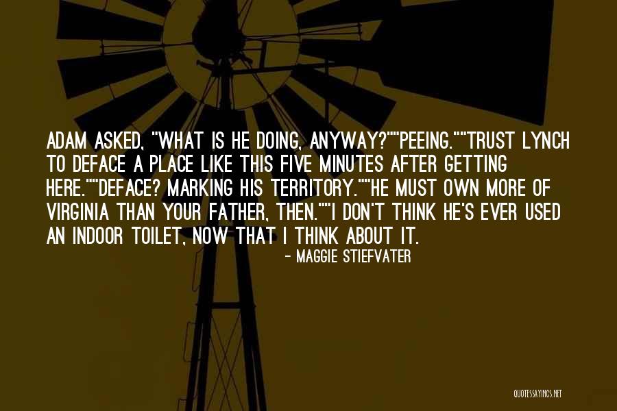 Outside Toilet Quotes By Maggie Stiefvater Outside Toilet Quotes By Maggie Stiefvater