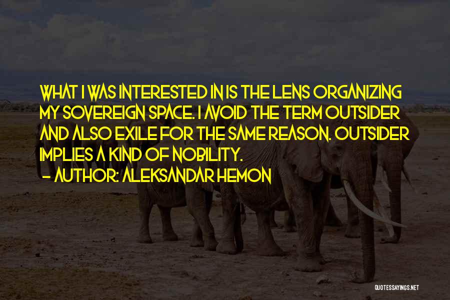 Outsiders Quotes By Aleksandar Hemon