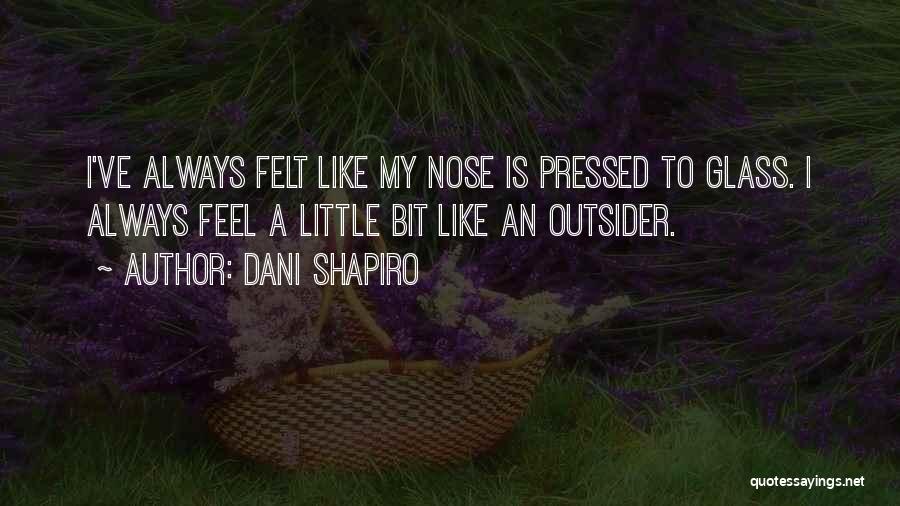 Outsiders Quotes By Dani Shapiro