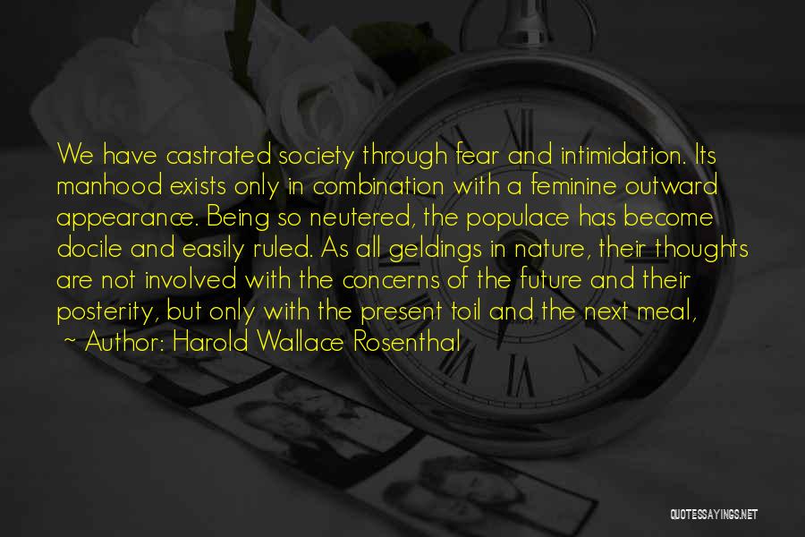 Outward Appearance Quotes By Harold Wallace Rosenthal