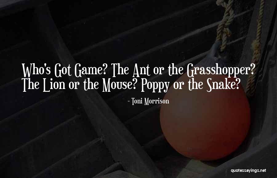 Ouvida Bracelets Quotes By Toni Morrison Ouvida Bracelets Quotes By Toni Morrison