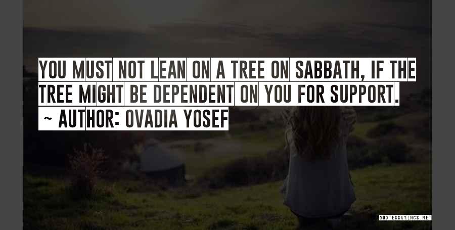 Ovadia Yosef Quotes 1389730