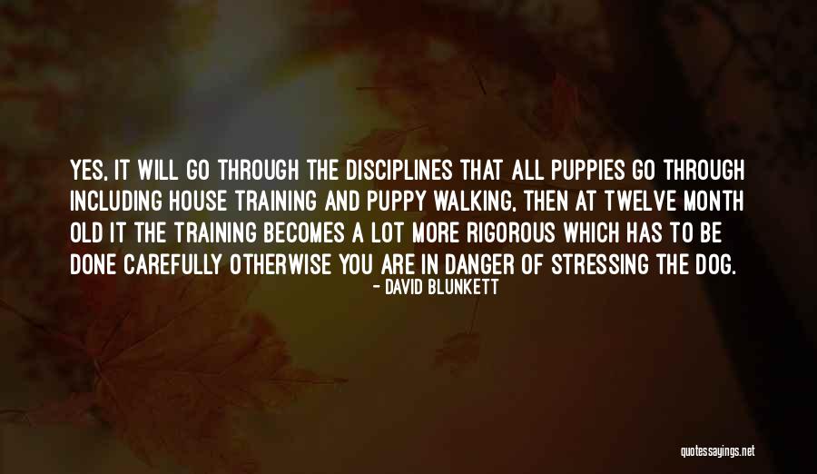 Ovanes Balayan Quotes By David Blunkett Ovanes Balayan Quotes By David Blunkett