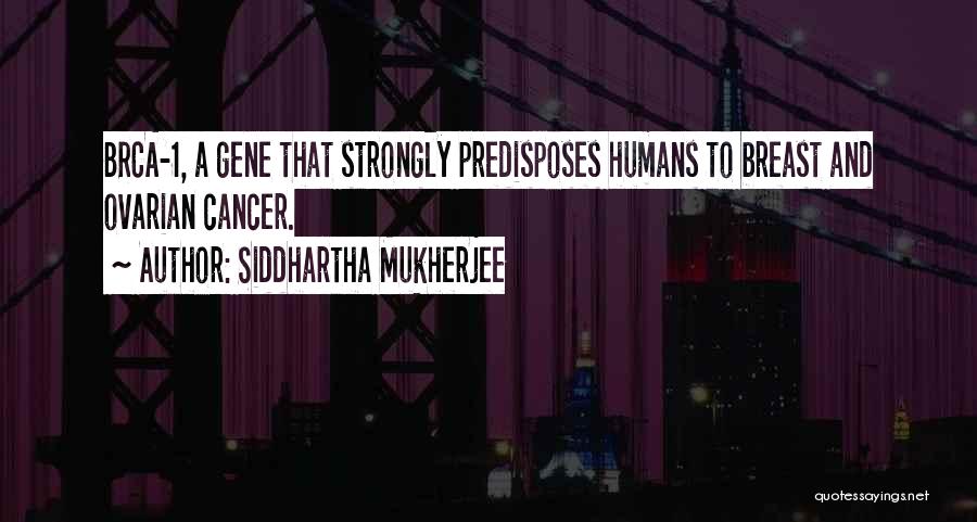 Ovarian Cancer Quotes By Siddhartha Mukherjee
