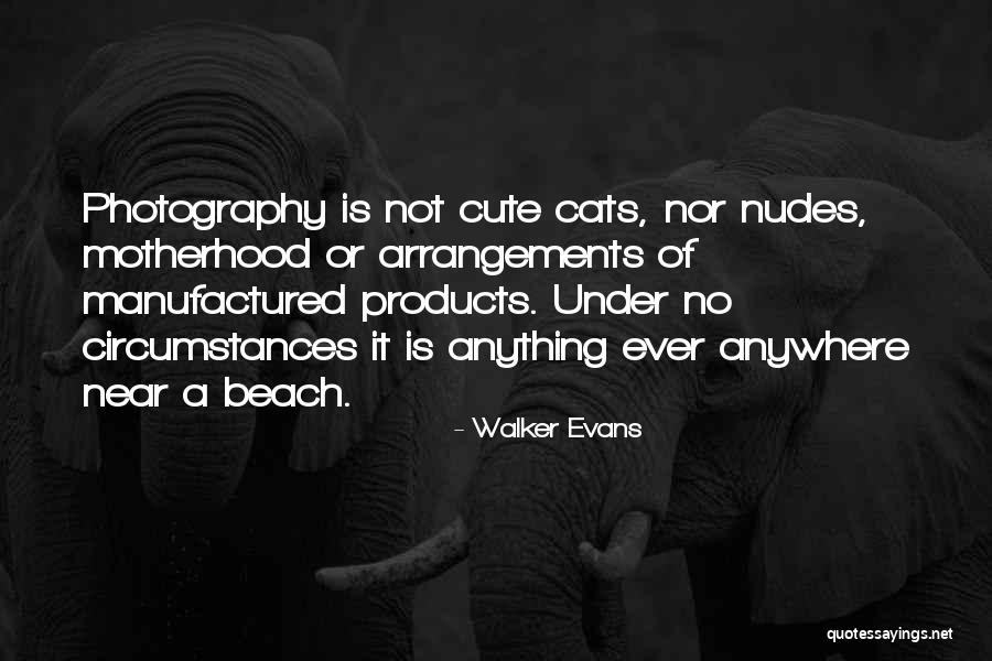 Ovary Size Quotes By Walker Evans Ovary Size Quotes By Walker Evans