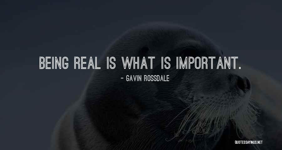 Ovejero Sinonimo Quotes By Gavin Rossdale Ovejero Sinonimo Quotes By Gavin Rossdale