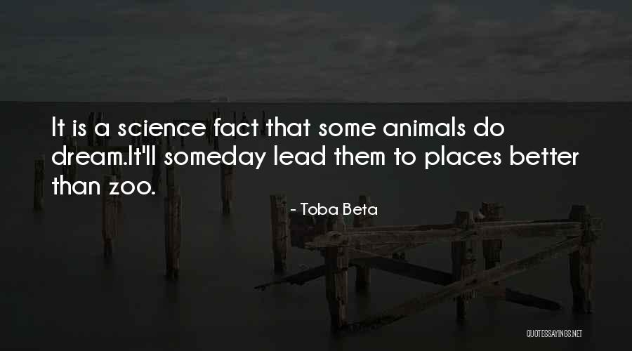 Oven Cleaners Dorset Quotes By Toba Beta Oven Cleaners Dorset Quotes By Toba Beta