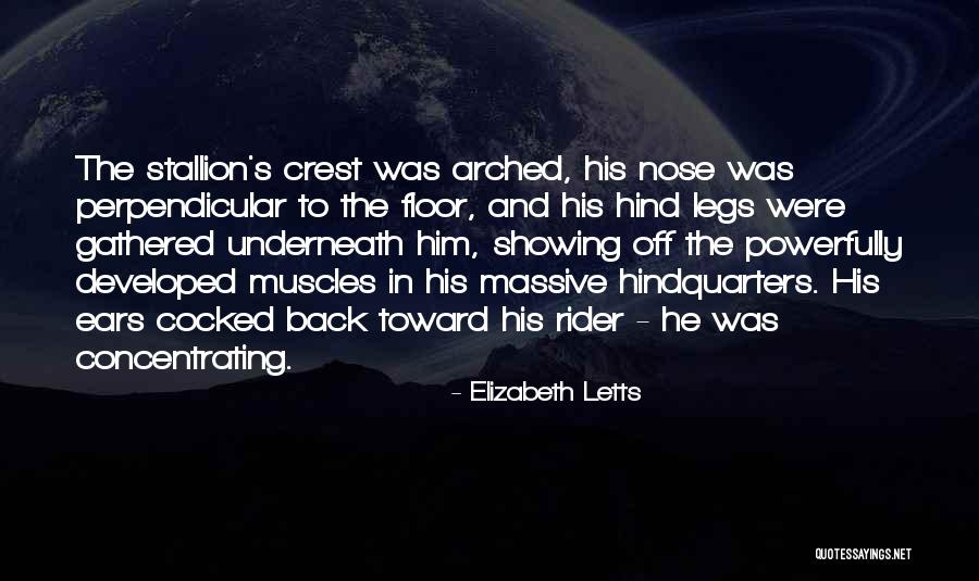 Over Arched Back Quotes By Elizabeth Letts Over Arched Back Quotes By Elizabeth Letts