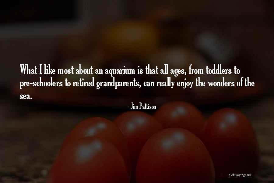 Over Arched Eyebrows Quotes By Jim Pattison Over Arched Eyebrows Quotes By Jim Pattison