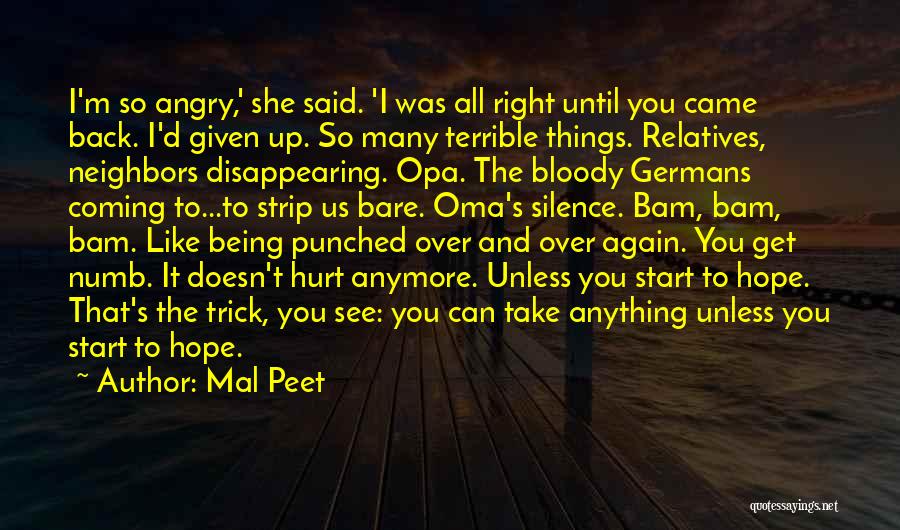 Over Being Hurt Quotes By Mal Peet
