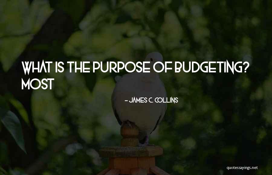 Over Budgeting Quotes By James C. Collins Over Budgeting Quotes By James C. Collins