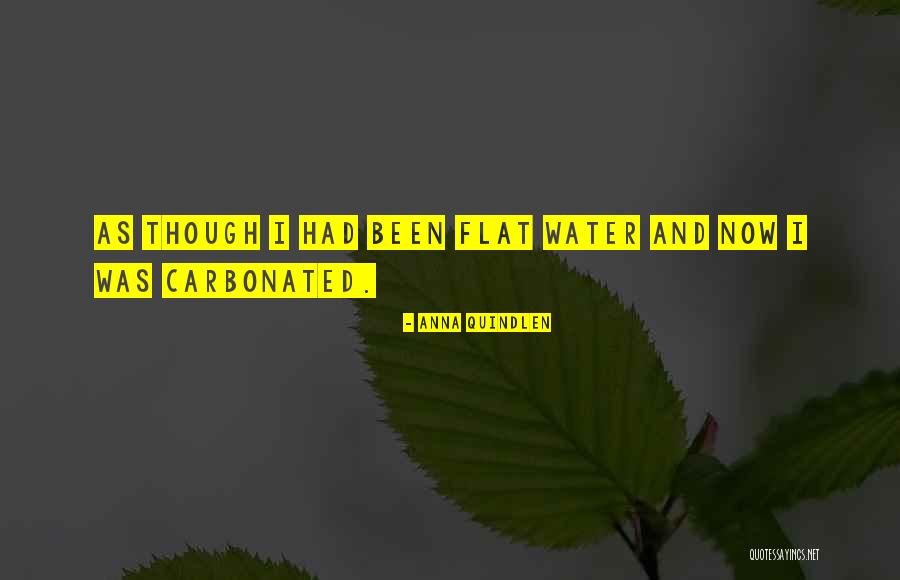 Over Carbonated Quotes By Anna Quindlen Over Carbonated Quotes By Anna Quindlen