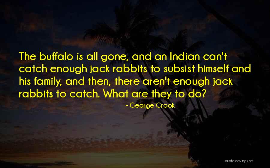 Over City Scenery Quotes By George Crook Over City Scenery Quotes By George Crook
