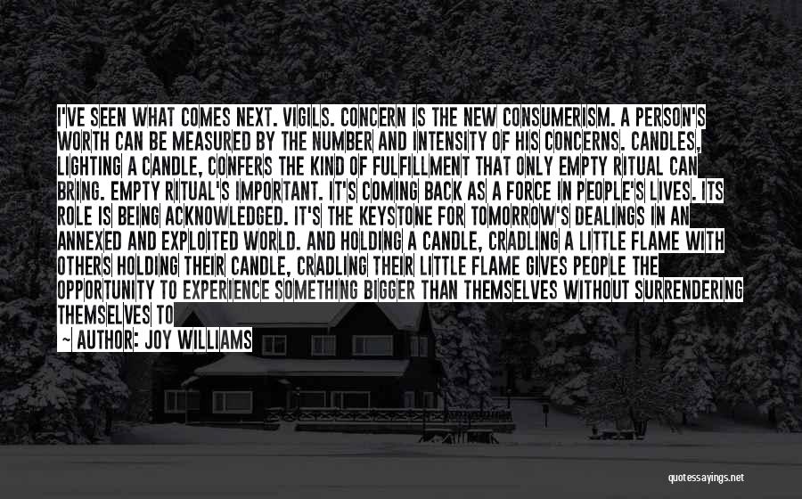 Over Consumerism Quotes By Joy Williams