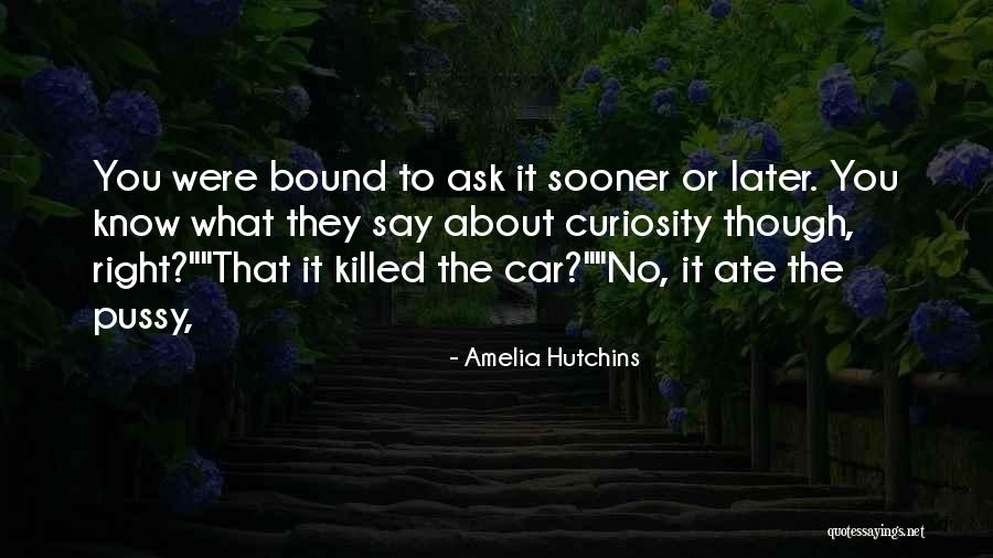Over Curiosity Killed Quotes By Amelia Hutchins Over Curiosity Killed Quotes By Amelia Hutchins