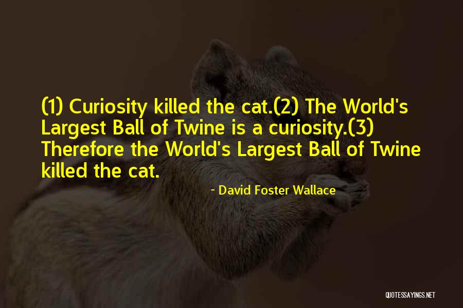 Over Curiosity Killed Quotes By David Foster Wallace Over Curiosity Killed Quotes By David Foster Wallace