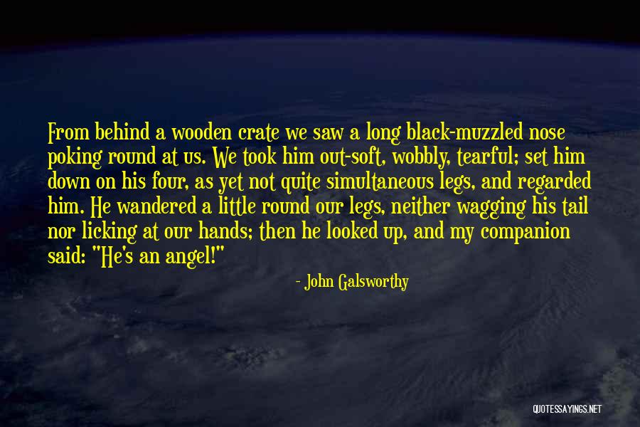 Over Dog Crate Quotes By John Galsworthy Over Dog Crate Quotes By John Galsworthy