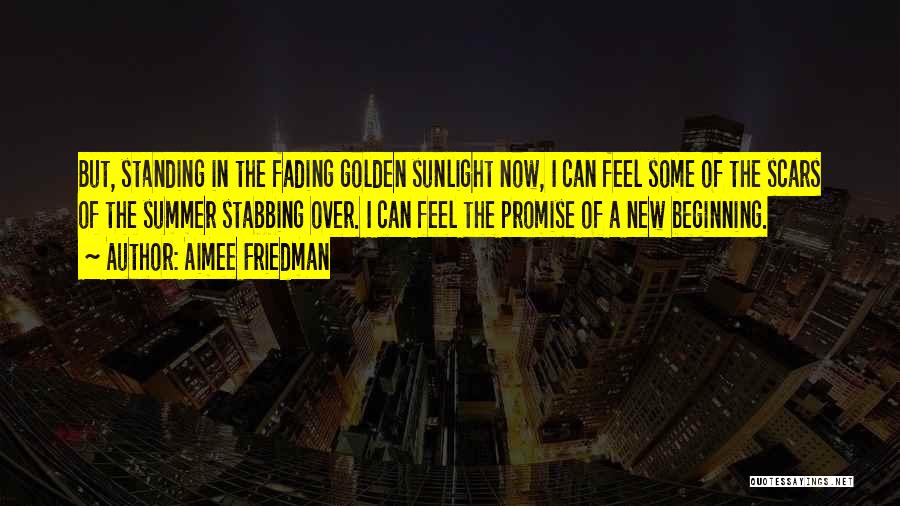 Over Promise Quotes By Aimee Friedman