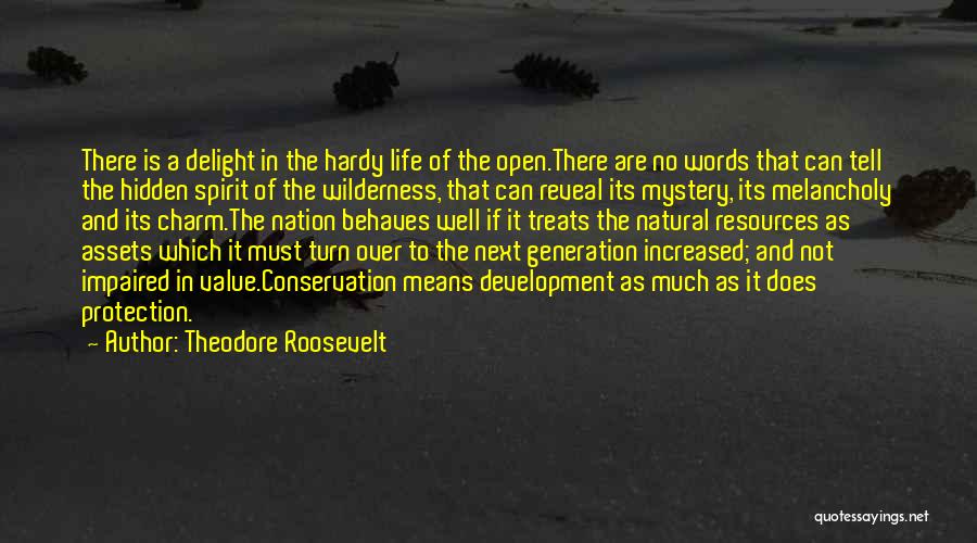 Over Protection Quotes By Theodore Roosevelt