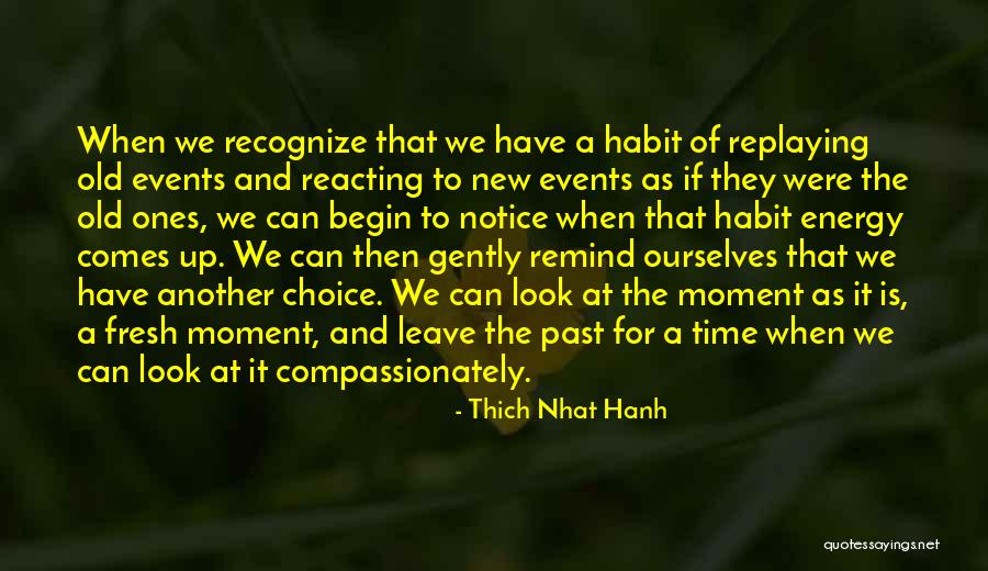 Over Reacting Quotes By Thich Nhat Hanh Over Reacting Quotes By Thich Nhat Hanh