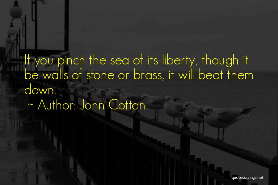 Over Sea Under Stone Quotes By John Cotton