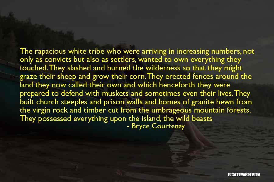 Over Sheep Quotes By Bryce Courtenay Over Sheep Quotes By Bryce Courtenay