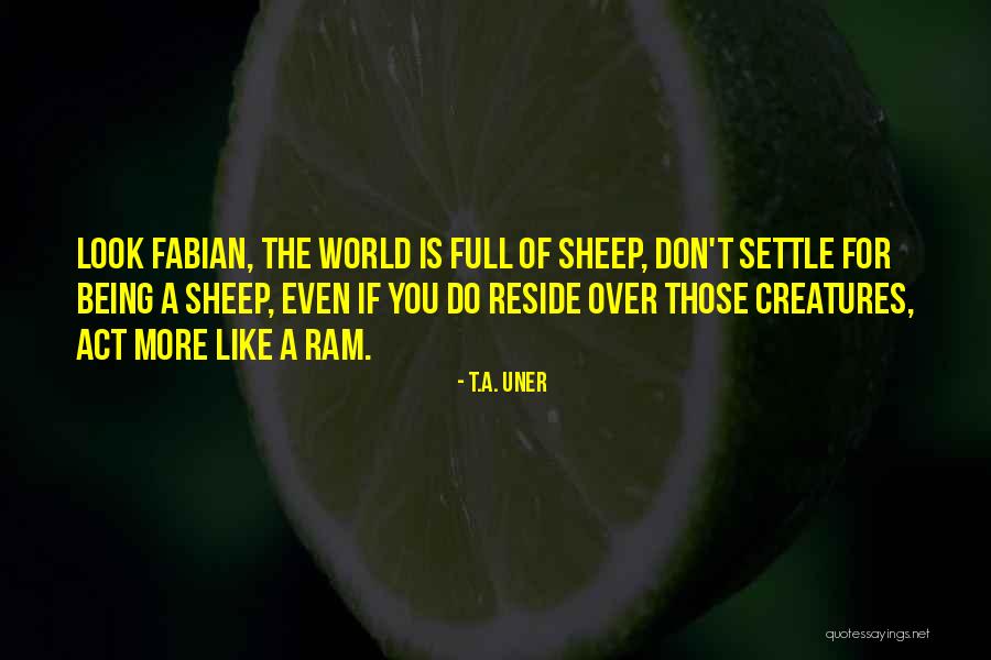 Over Sheep Quotes By T.A. Uner Over Sheep Quotes By T.A. Uner