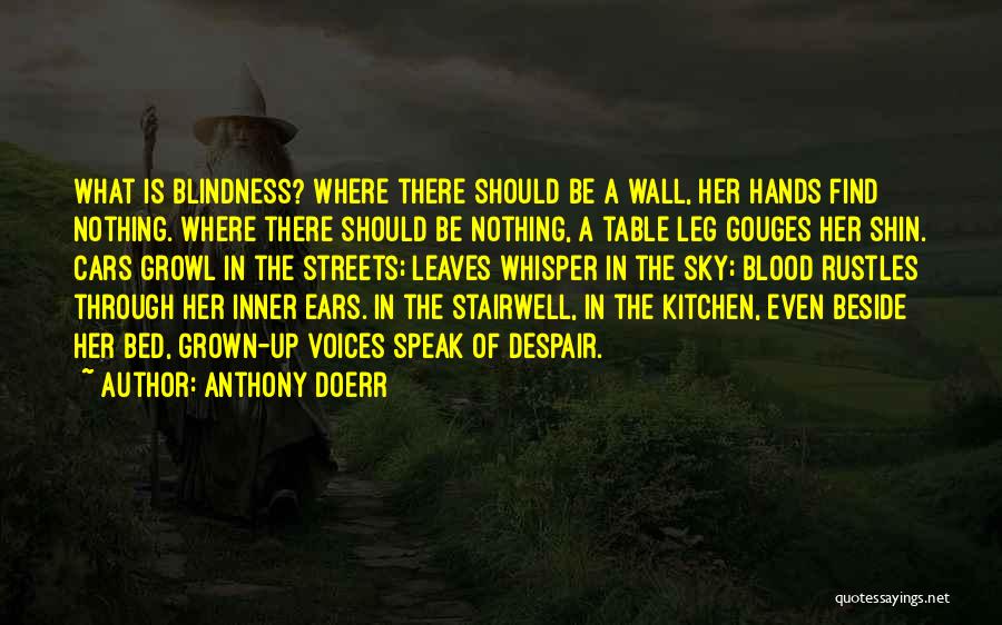 Over The Bed Wall Quotes By Anthony Doerr
