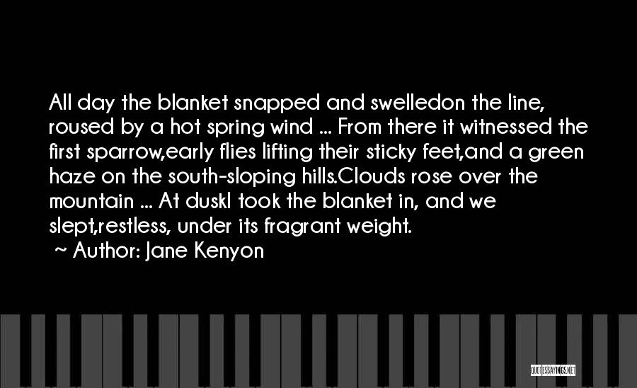 Over The Clouds Quotes By Jane Kenyon